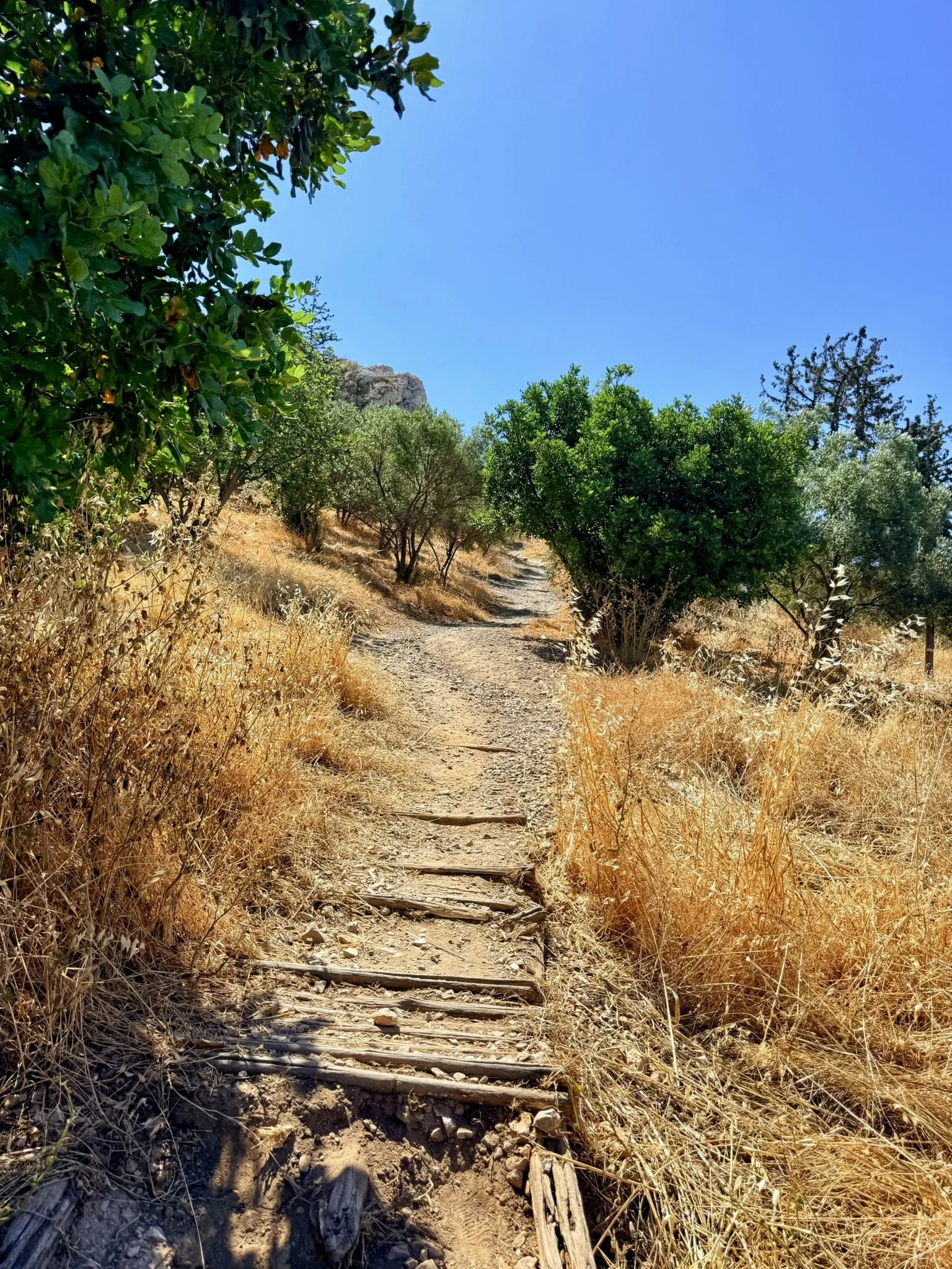 Philopappos Hill hike