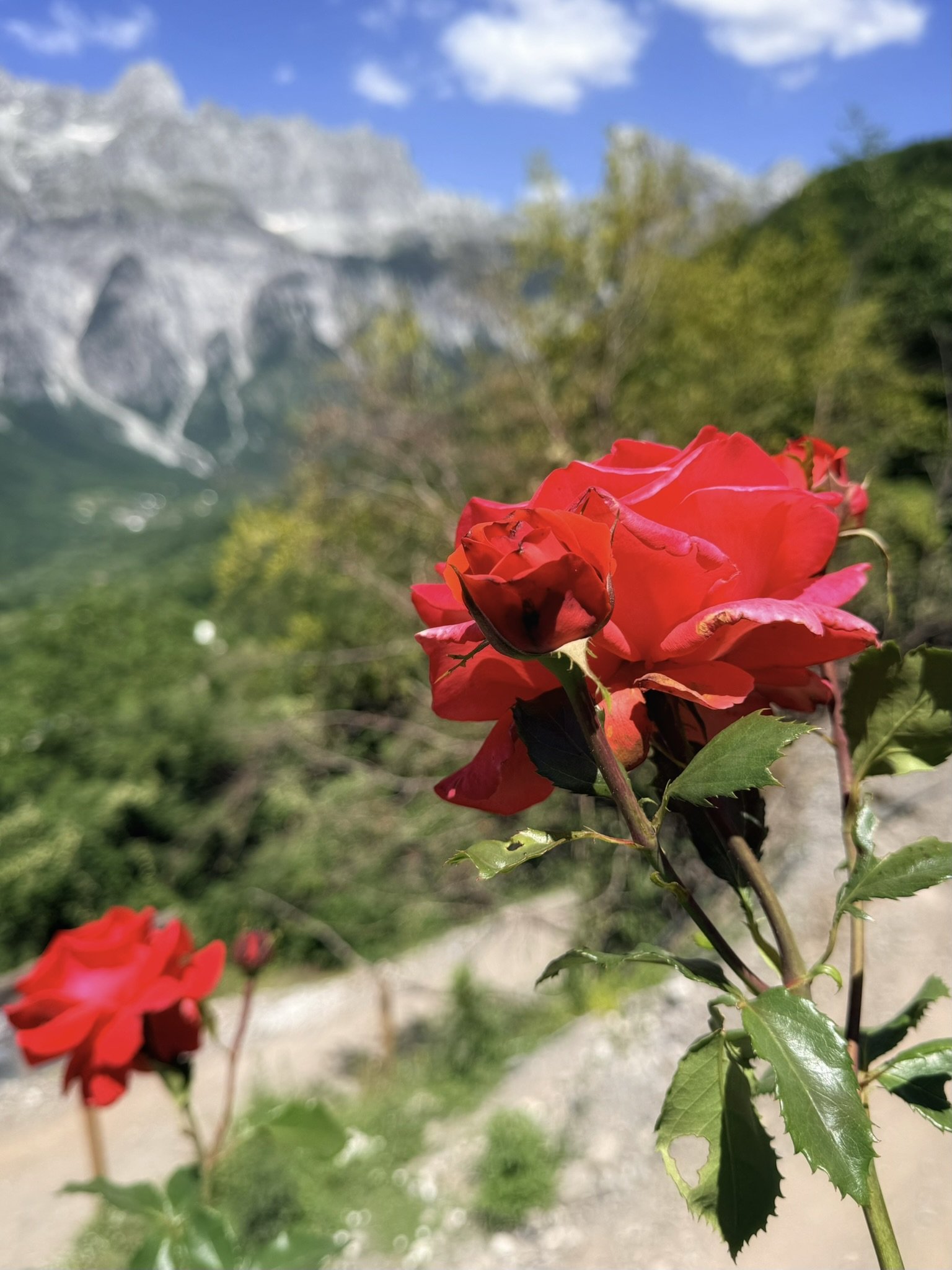 IMG_0793.JPEG