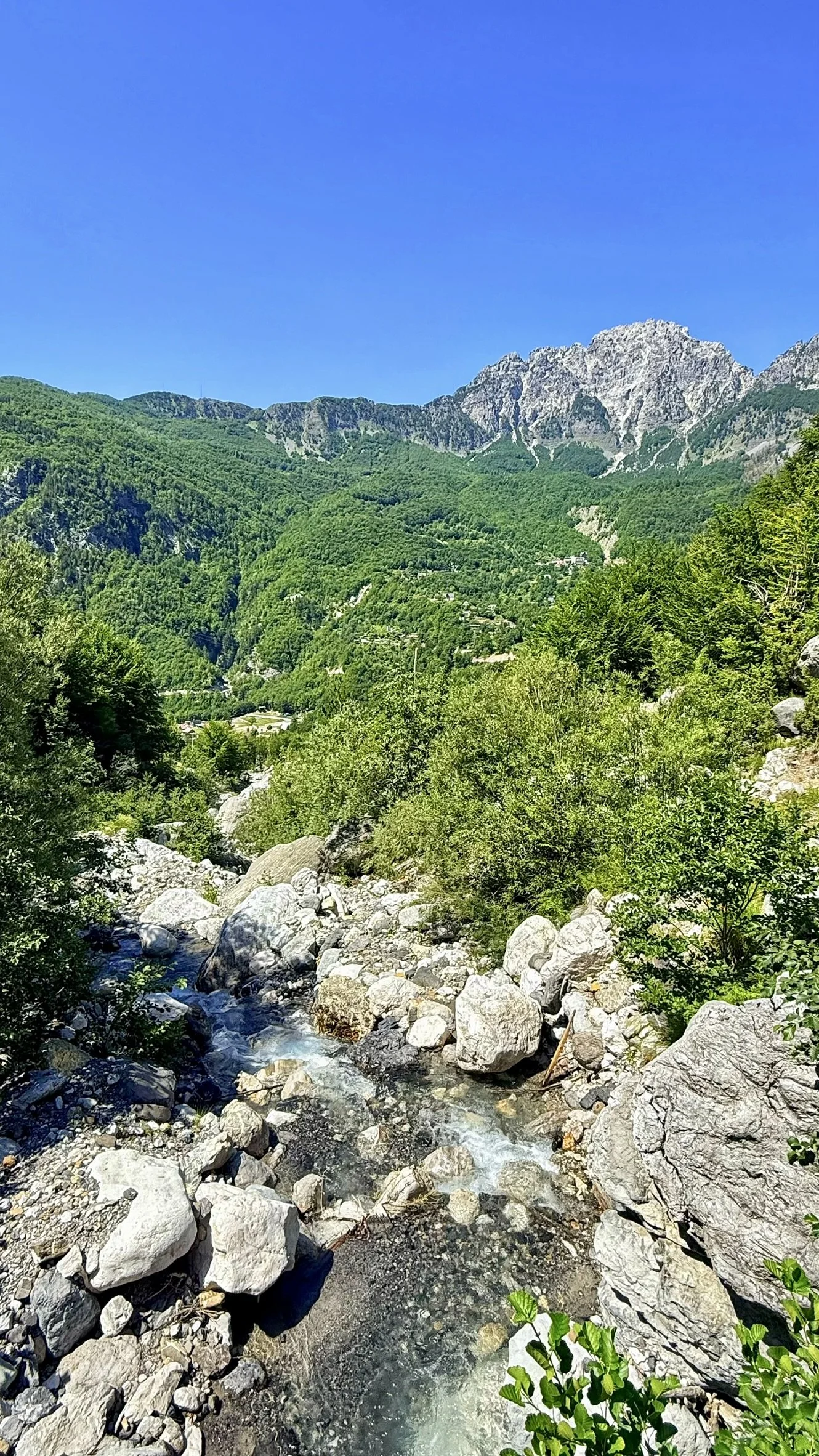 IMG_0783.JPEG
