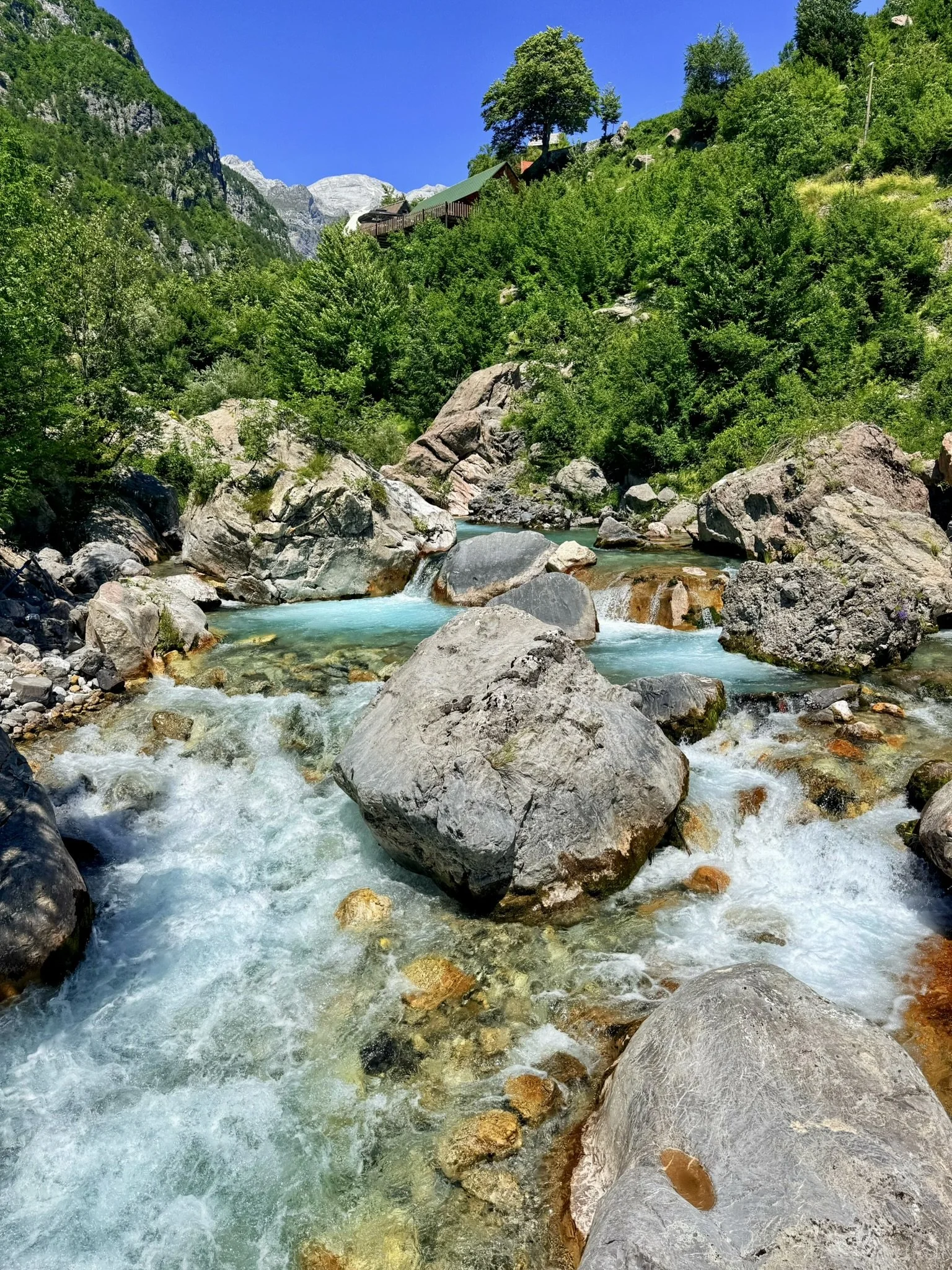 IMG_0720.JPEG
