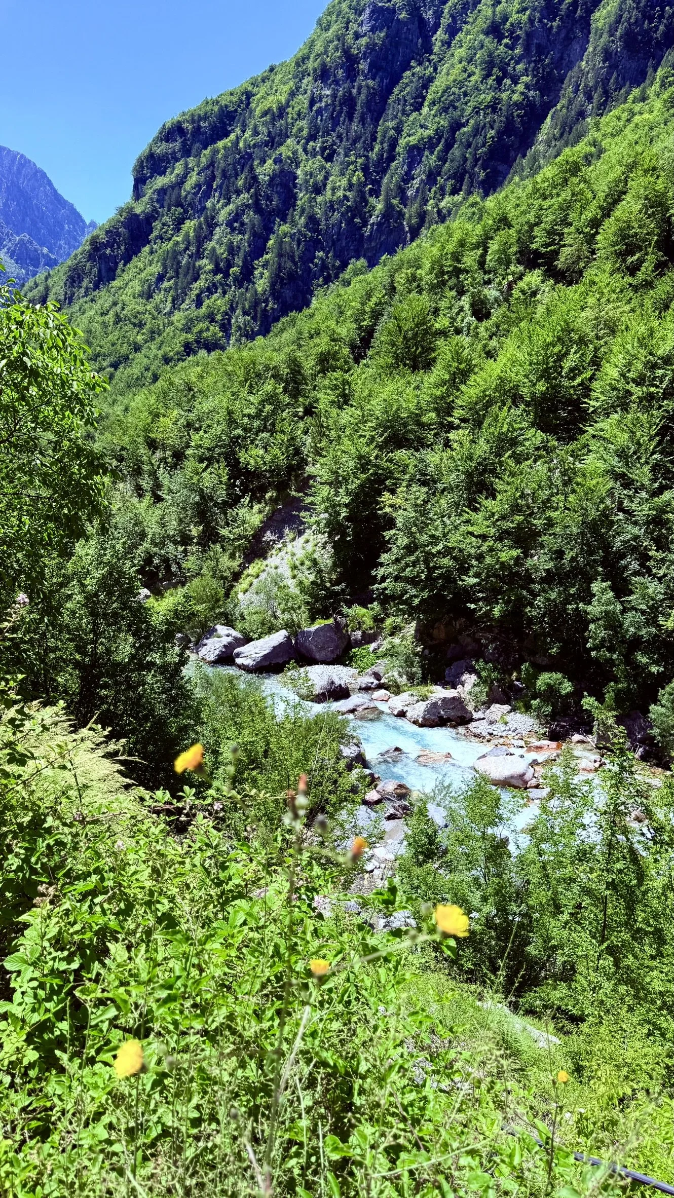 IMG_0718.JPEG