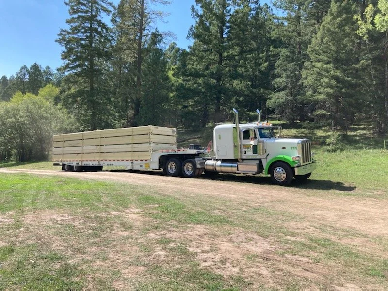 A large white semi-truck with a green accent parked on a dirt path in a wooded area, pulling a long flatbed trailer loaded with large wooden planks.