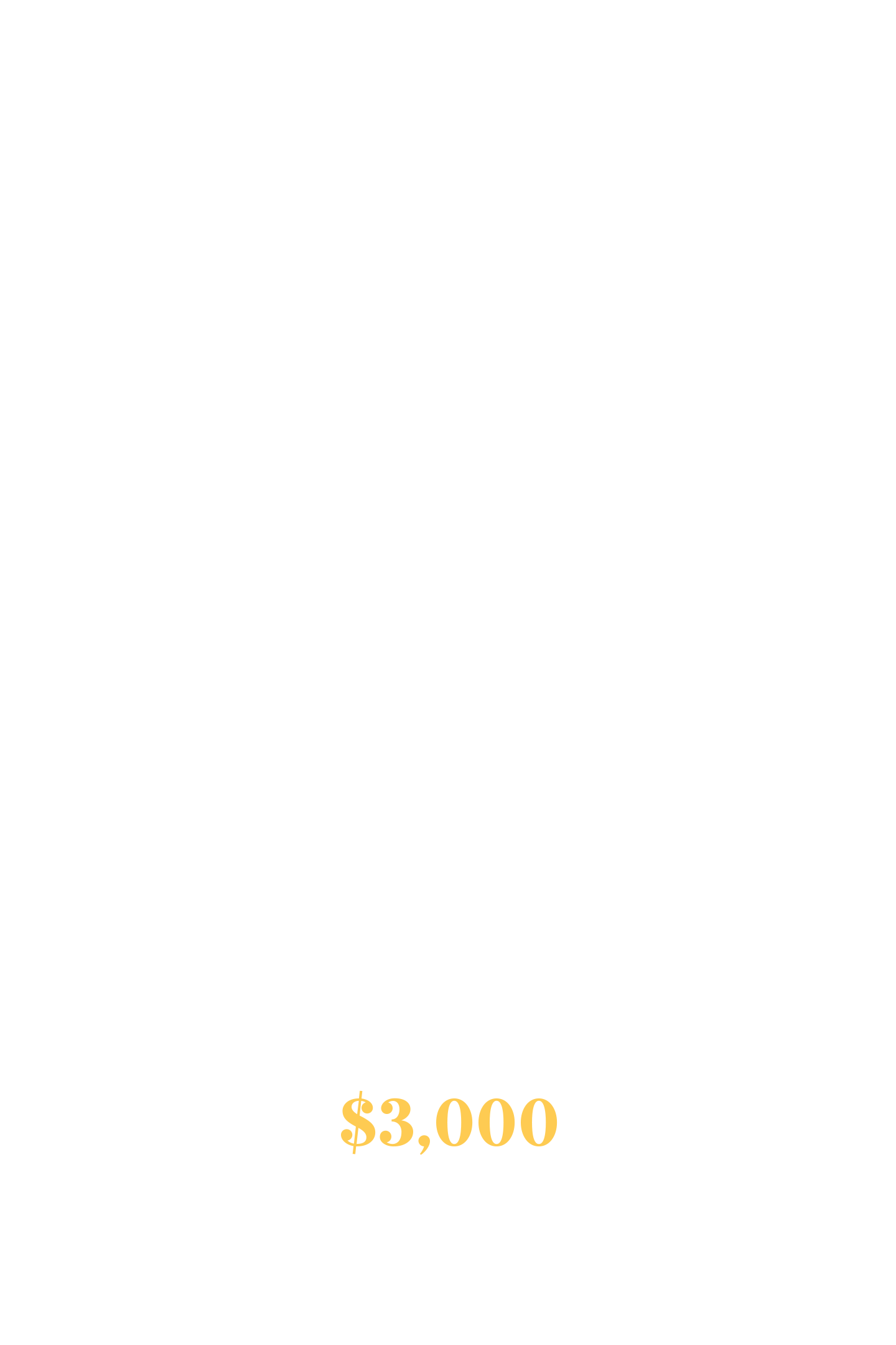 A black and white advertisement for a wedding package called 'The Minimalist' that lasts 6 hours, includes pre-wedding consultation, timeline assistance, editing and color correction, and an online gallery, priced at $3,000.