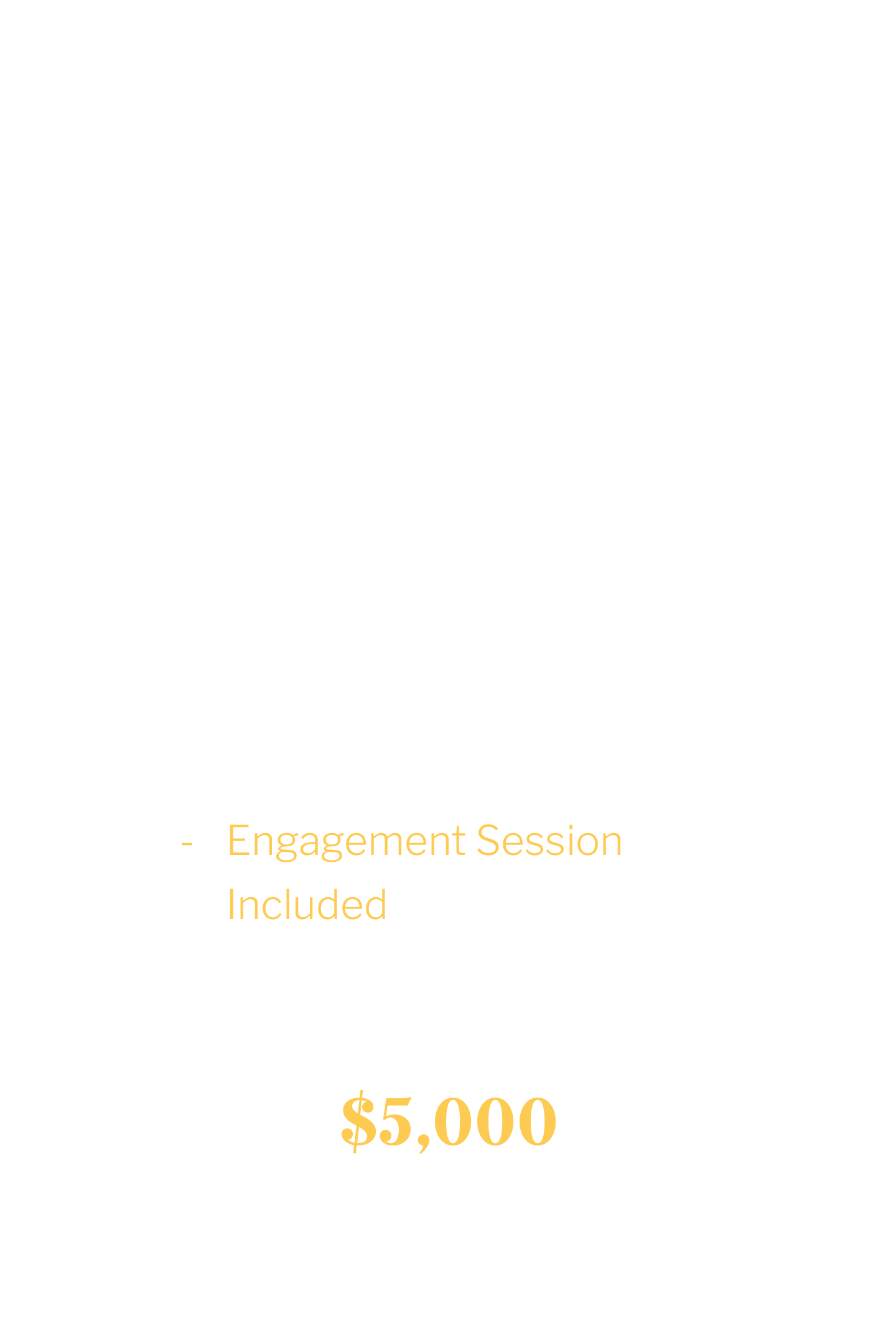 Pricing and services for The Maximalist wedding package, including pre-wedding consultation, timeline assistance, editing and color correction, online gallery, and engagement session, priced at $5,000.
