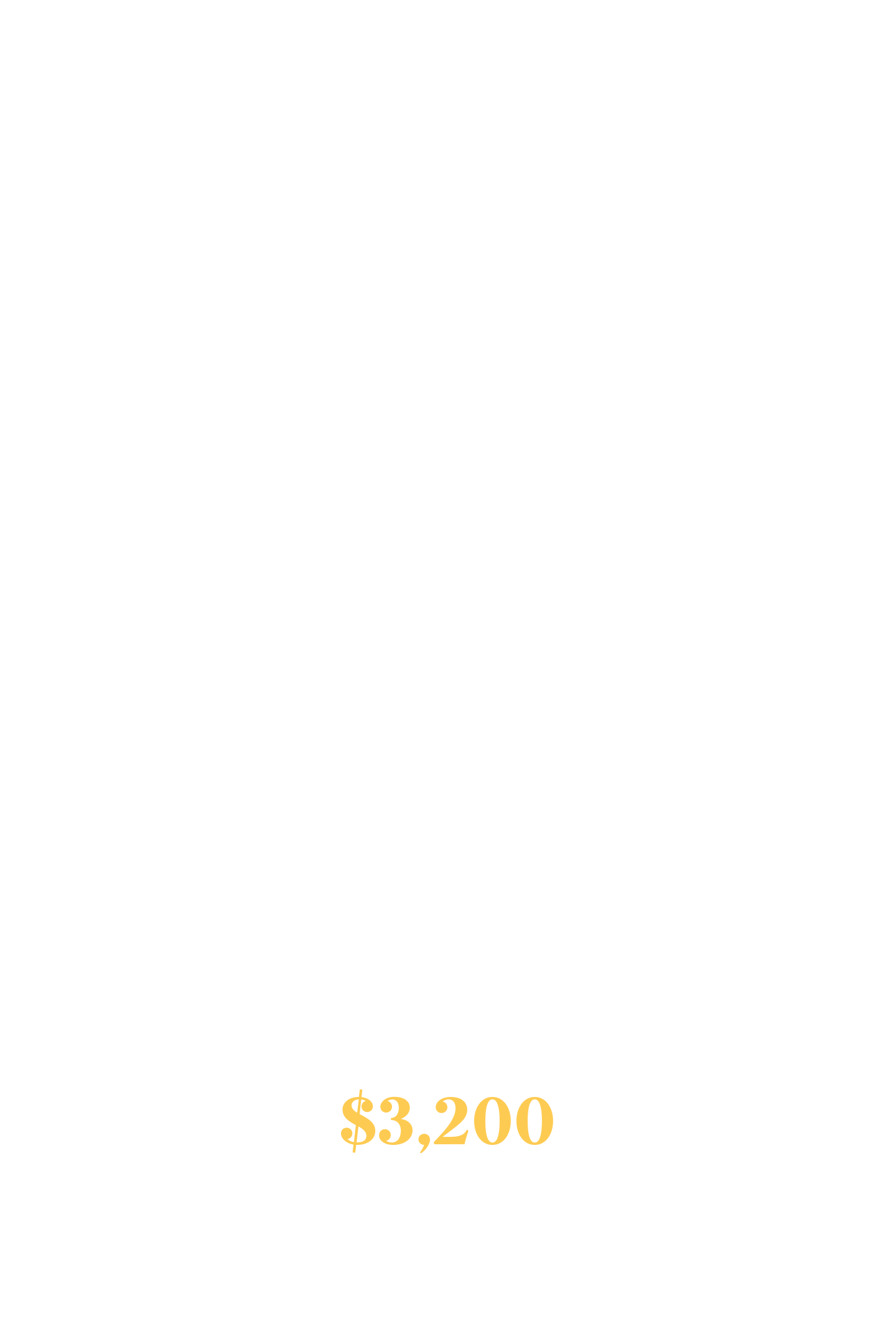 Pricing package for 'The Minimalist' wedding video service, offering 6 hours of coverage for $3,200, including consultation, editing, high-quality audio, YouTube link, digital download, and highlight film.