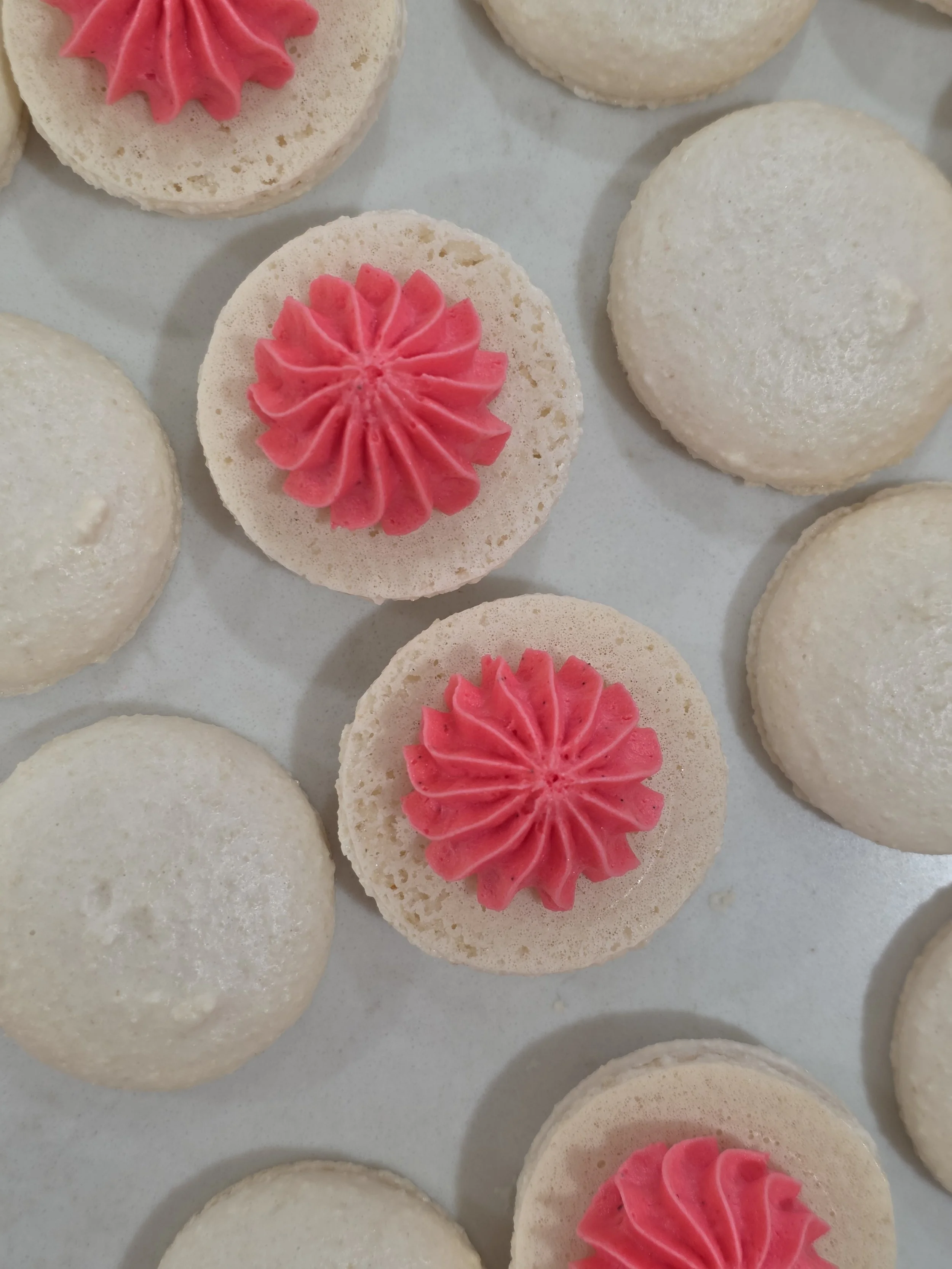 Vanilla Marshmallow Two-Pack