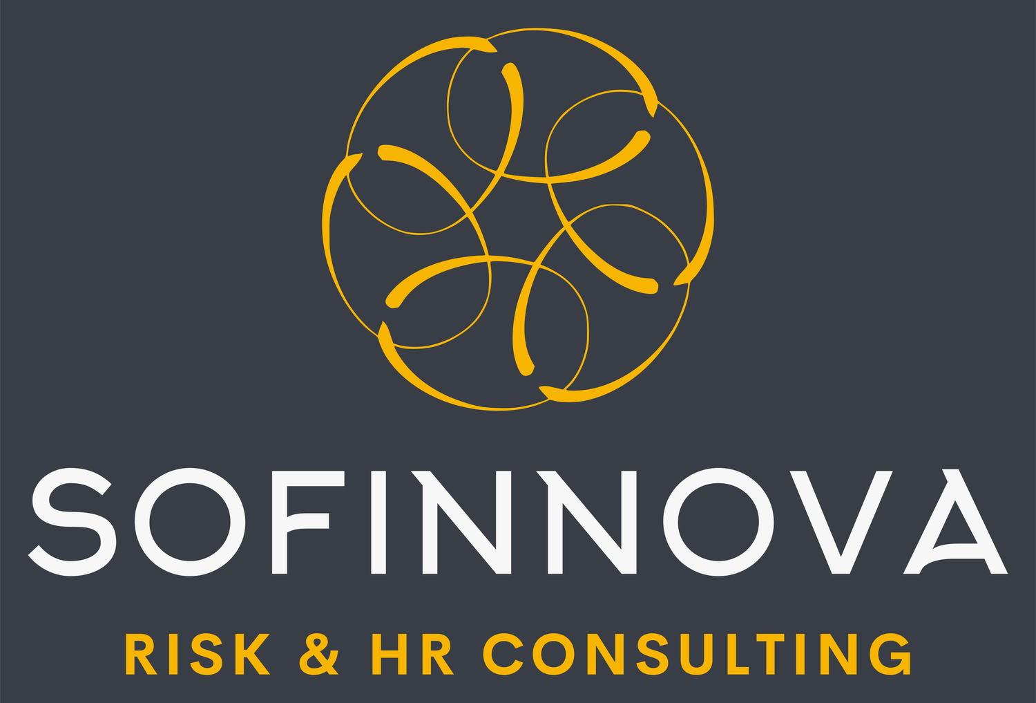 SOFINNOVA RISK &amp; HR CONSULTING