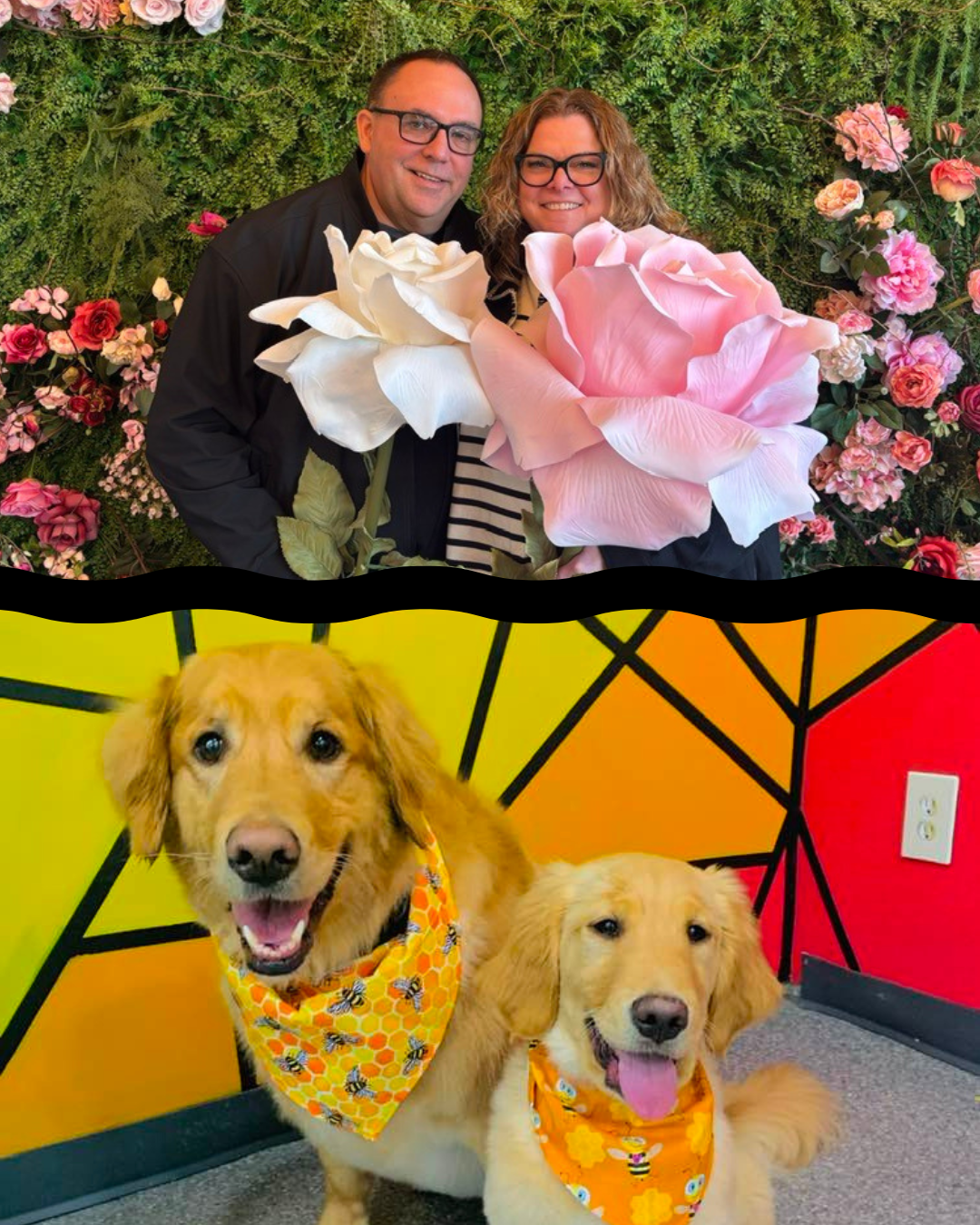 Top image shows a smiling couple with glasses holding large artificial roses, standing in front of a floral backdrop. Bottom image features two golden retrievers wearing matching orange bandanas with bee and flower patterns, sitting in front of a colorful geometric mural.