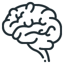 Outline of a human brain.