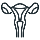 Line drawing of a female reproductive system, including the uterus, fallopian tubes, and ovaries.