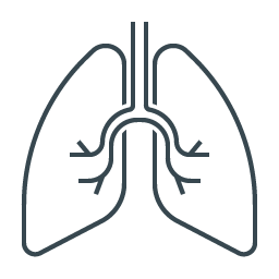 A diagram of human lungs with bronchial tubes and airflow pathways
