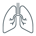 Outline diagram of human lungs.