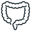 Line drawing of a human colon.