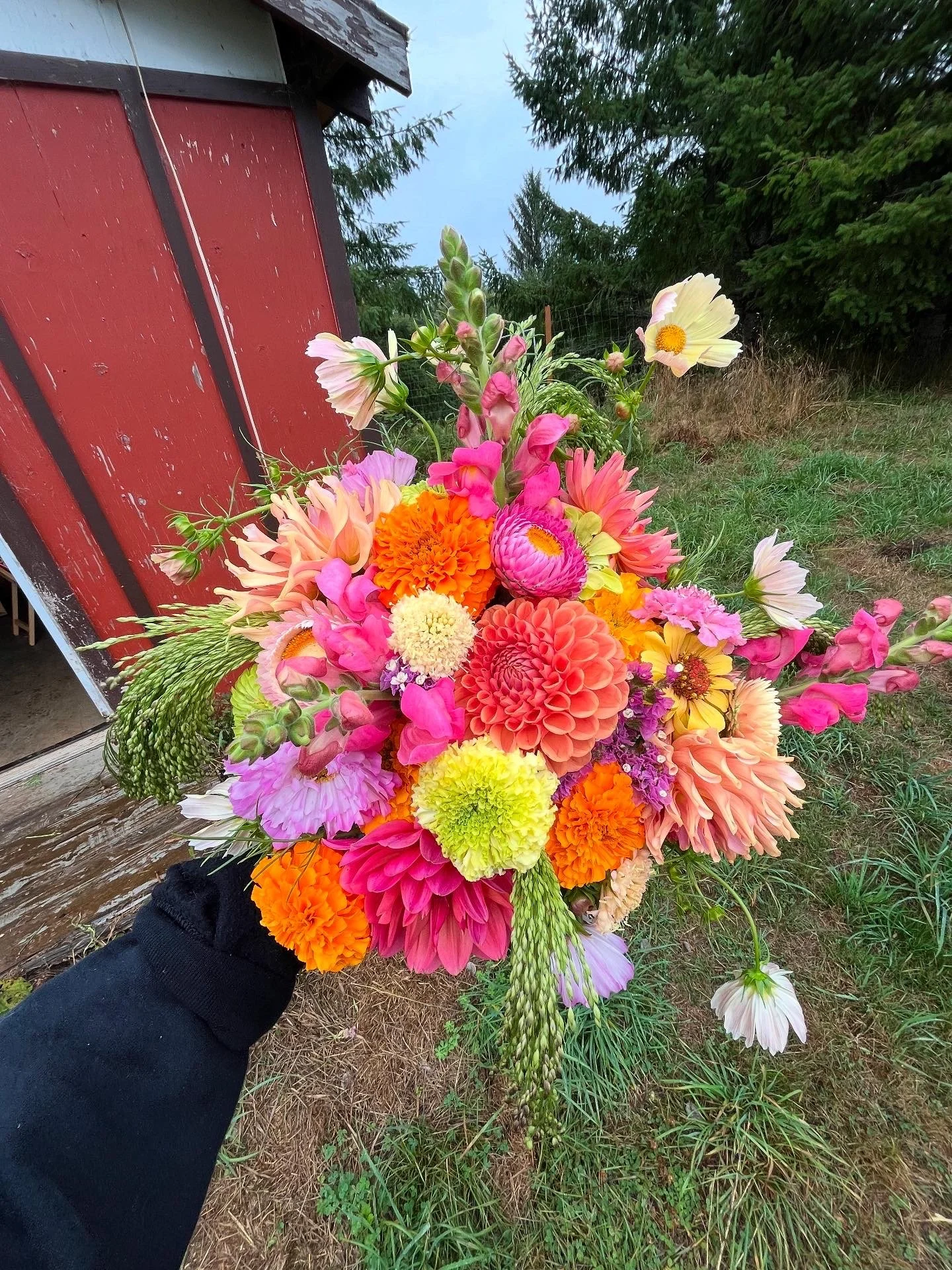 Fall Bouquet Subscription