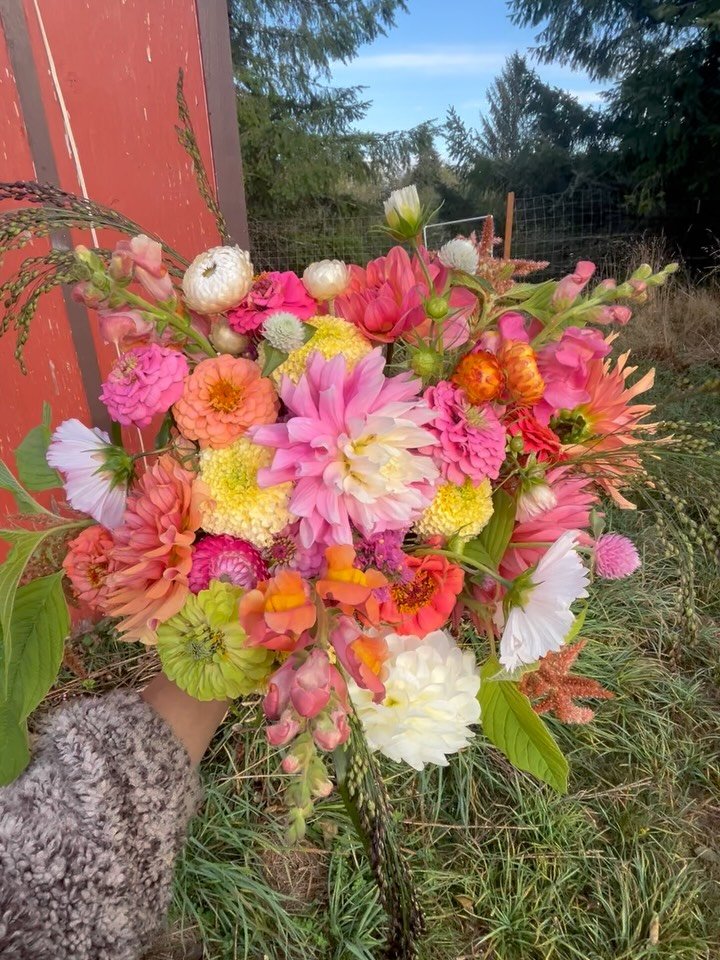 Thank you for your orders this week! I just love flowers so much 💖 Only a couple markets left, but you can always find bouquets on @northcoastfoodweb (until the first frost)