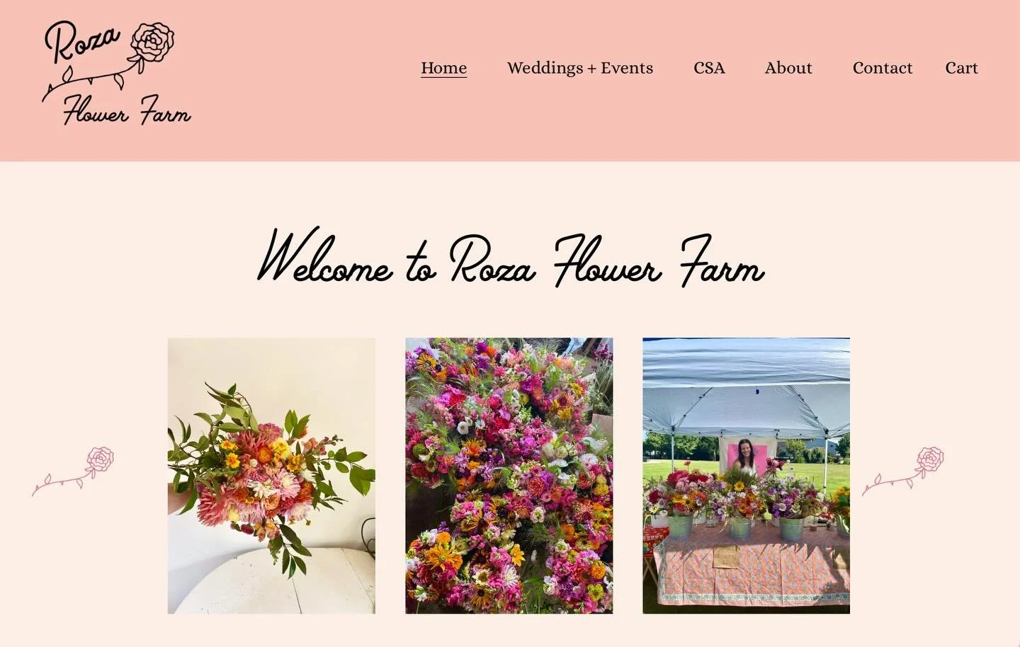 I finally have a website! I finally have a CSA! Winter has been busy and I&rsquo;ve miss you all. But been getting lots of major infrastructure stuff done behind the scenes to keep this little flower farm of mine growing 🦋 www.rozaflowerfarm.com