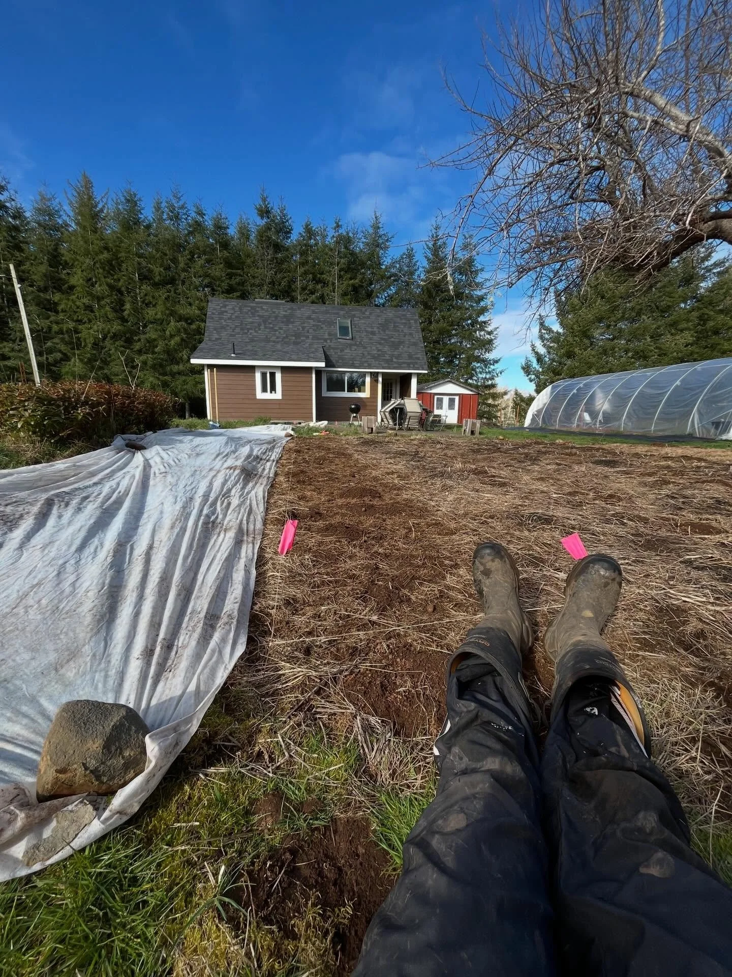 Sitting here having a moment of gratitude for how much I have learned over the past couple years. Teaching yourself how to farm is difficult haha and I still feel like I have no idea what I&rsquo;m doing half the time&hellip;. But what I do know is t