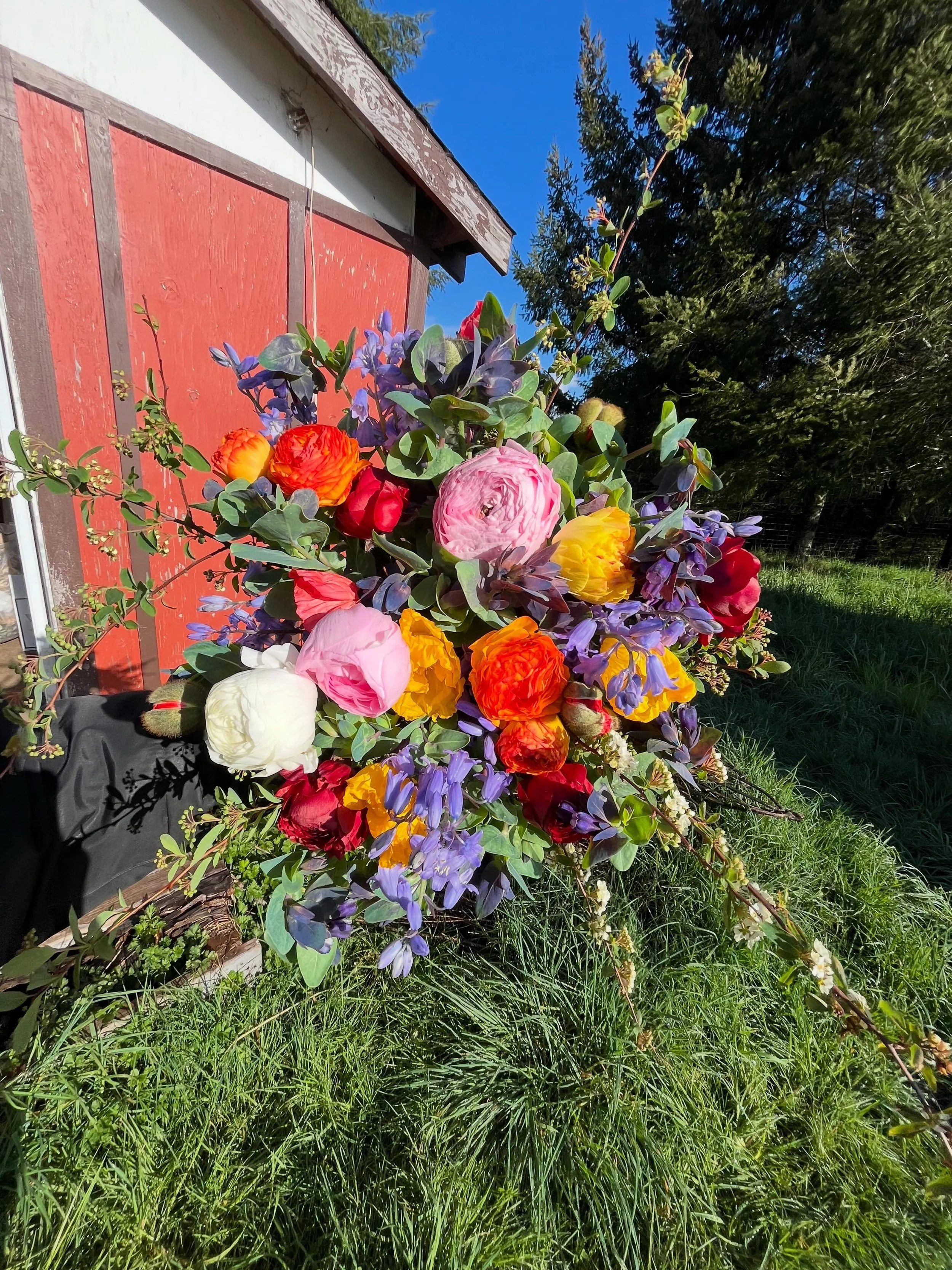 This spring has been crazy!! Just want pop on here and say thank you everyone for selling out my summer CSA (one fall spot still available)! Thank you for everyone who&rsquo;s bought flowers so far. Thank you to the brides who are trusting me with th