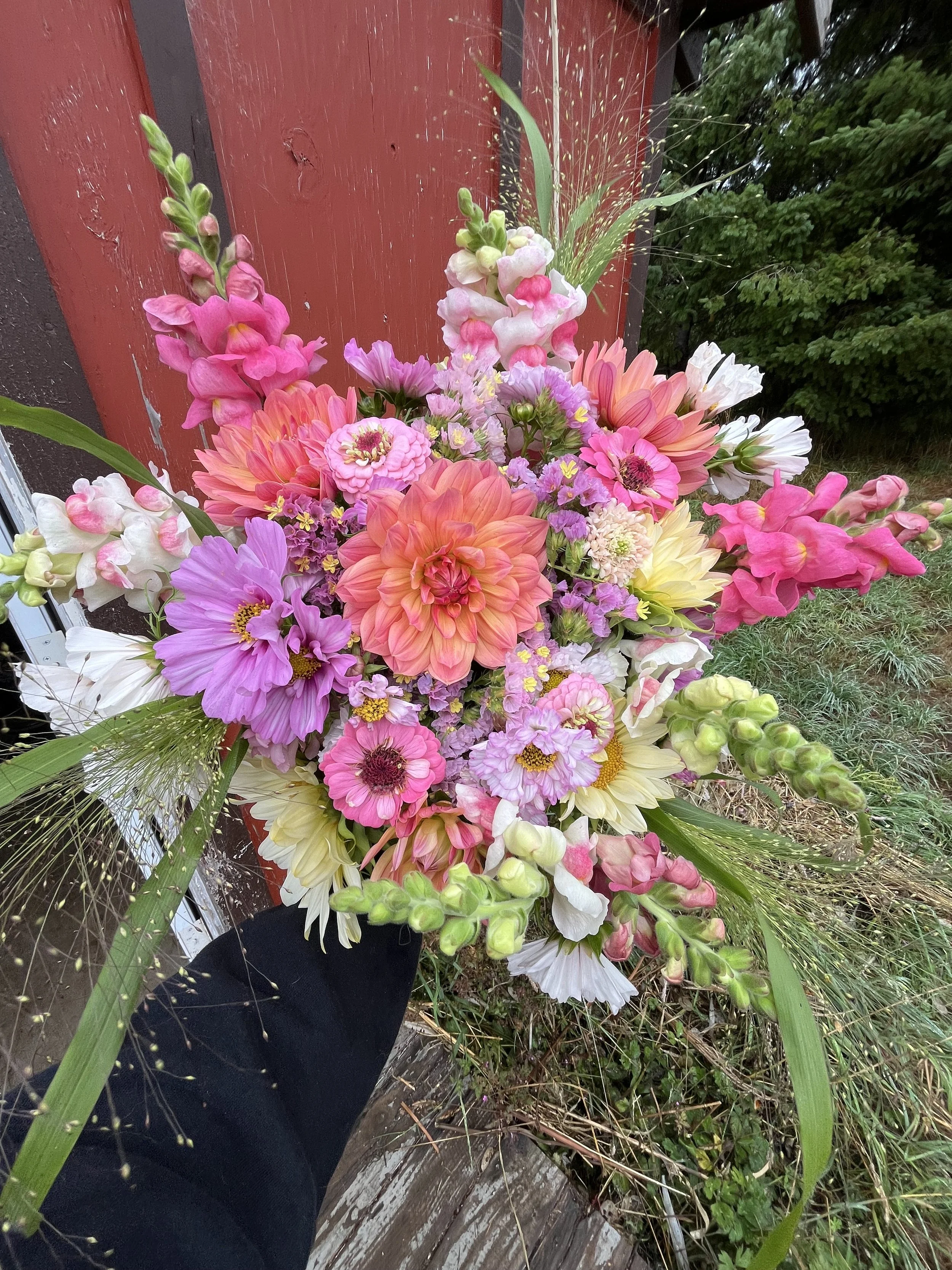 Summer Bouquet Subscripiton