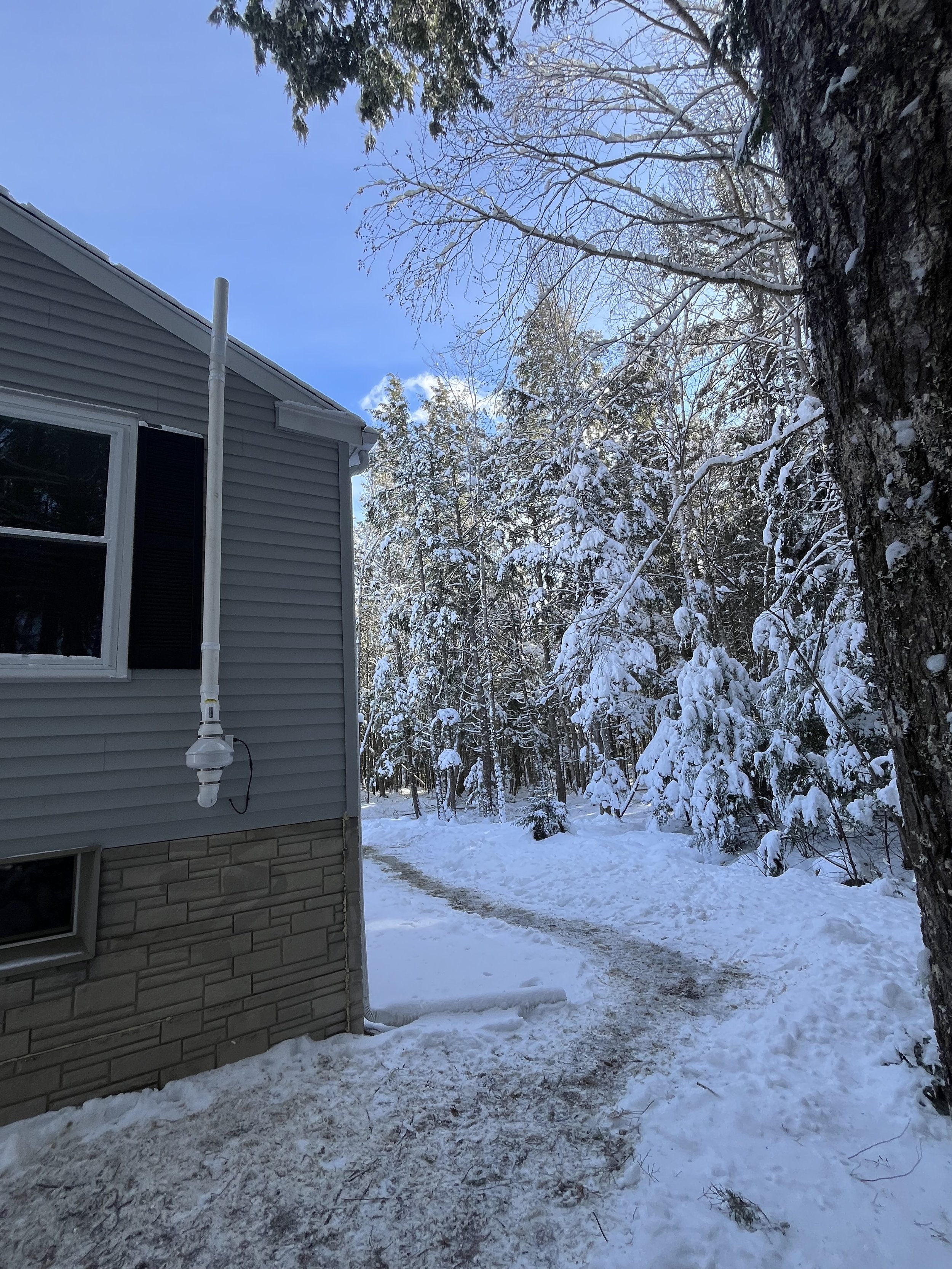 Snow-covered path next to a house with gray siding, black shutters, and a large tree on the right; snow-laden trees in the background under a partly cloudy blue sky.