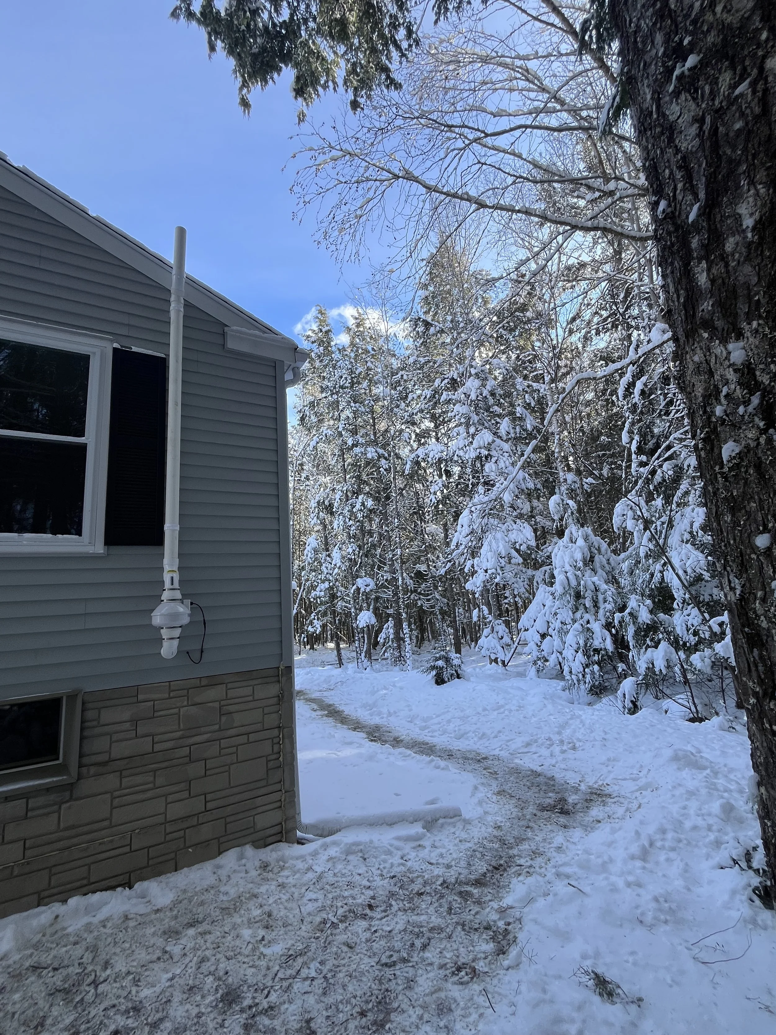 Snow-covered pathway next to a house with gray siding and a window, with snow-laden trees and a clear blue sky in winter.