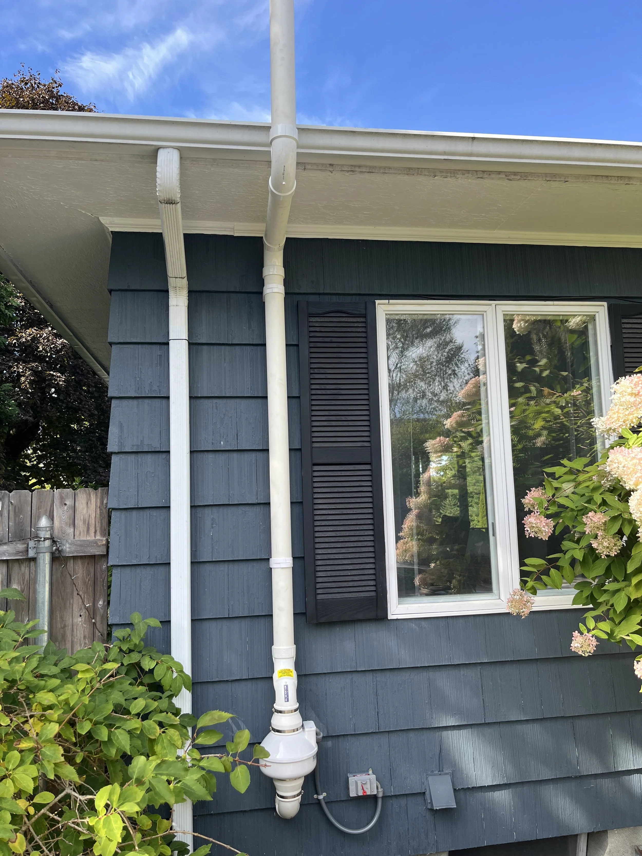 The exterior of a blue house with rain gutter pipes, a window with black shutters, and flowering bushes nearby under a blue sky with some white clouds.