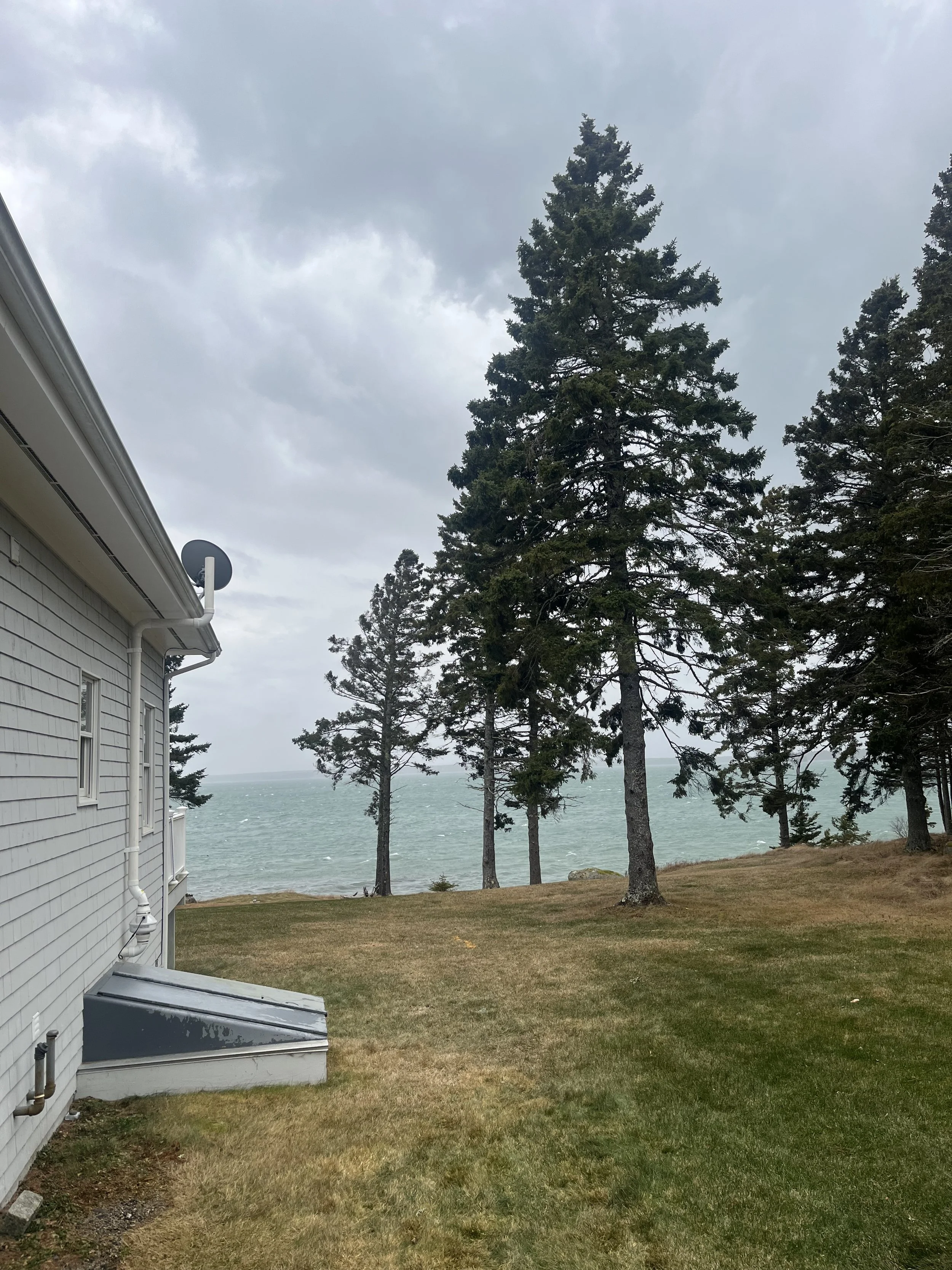 A house with a white exterior wall and a satellite dish, grassy yard, pine trees, and water in the background on a cloudy day.