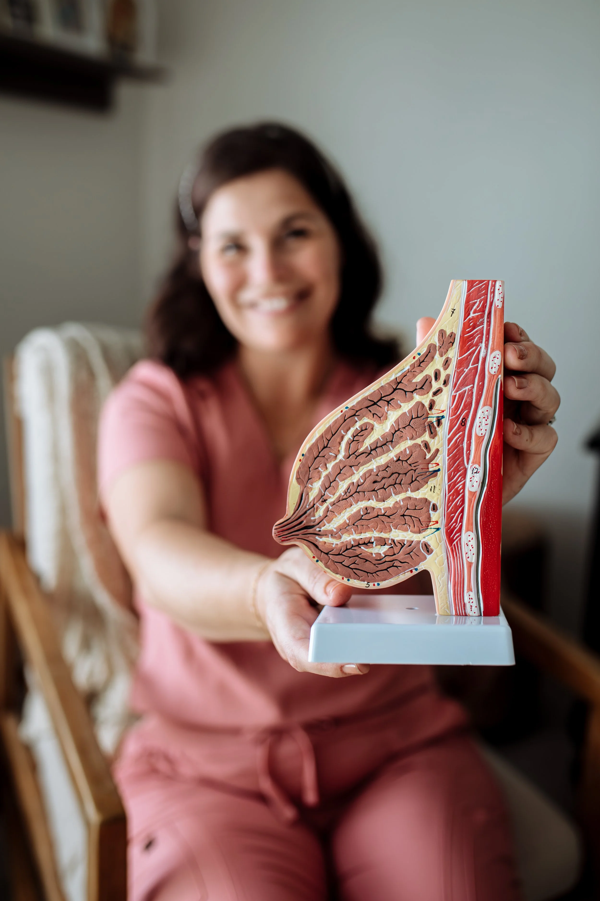 A woman in pink scrubs sitting in a chair holding a model of a human breast, showing its internal anatomy, in a room with a light-colored wall.