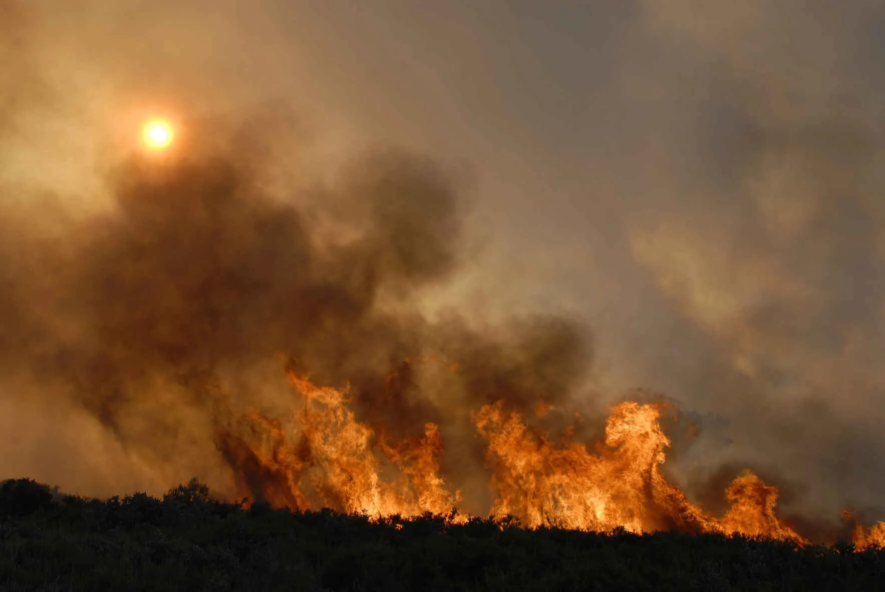 ABHMS calls for prayers and support as multiple wildfires ravage Southern California communities