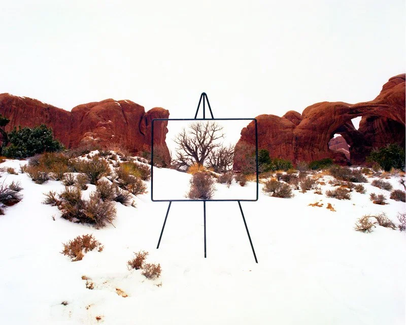 Arches Easel Landscape - tree, Arches National Park, Moab, Utah