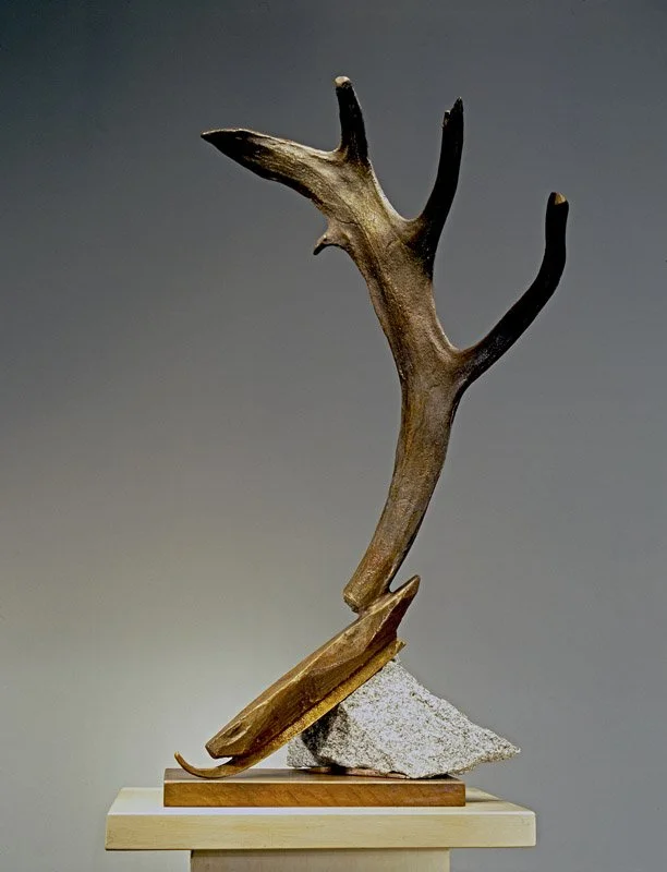 Cerynean Skate