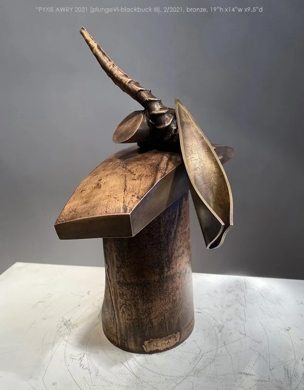 800PyxisAwry2021_plungeVI-blackbuck_III_145.jpg