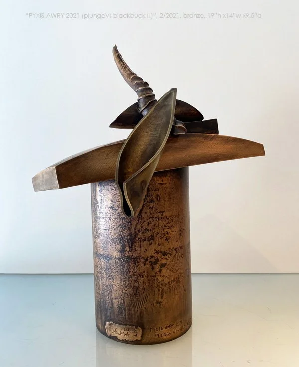 800PyxisAwry2021_plungeVI-blackbuck_III_180glass.jpg