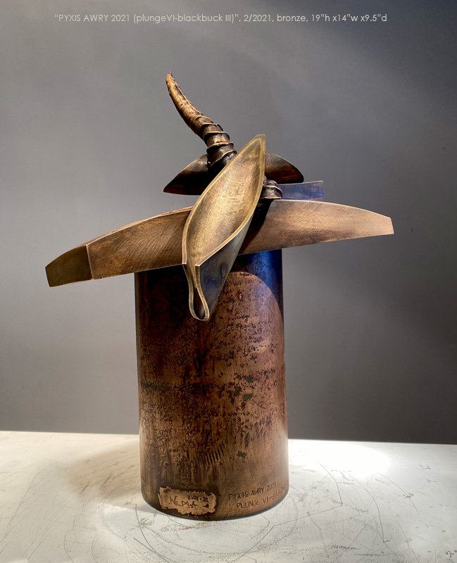 800PyxisAwry2021_plungeVI-blackbuck_III_189.jpg