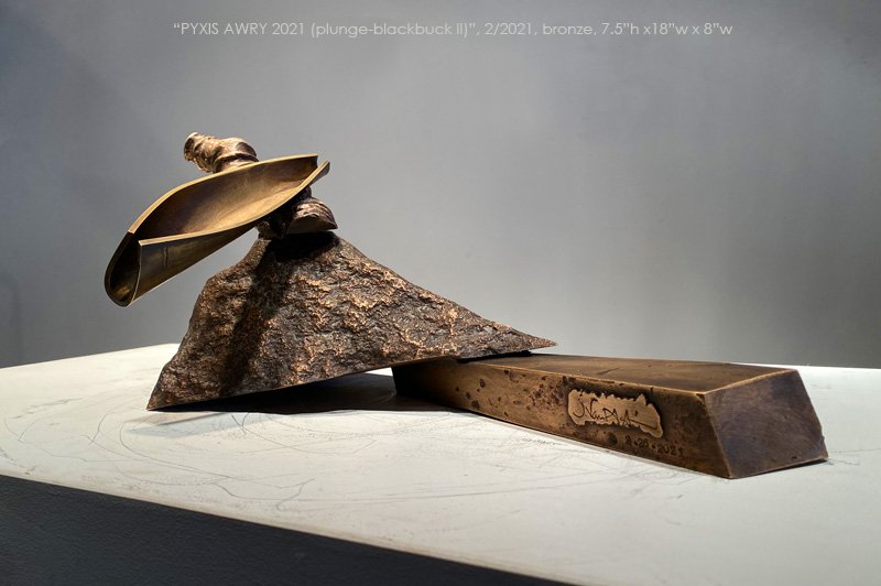 800PyxisAwry2021_plunge_blackbuck II_160.jpg