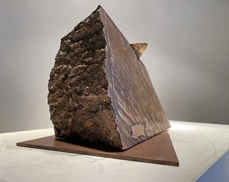 800PyxisAwry2021_wedge_bk_sig.jpg