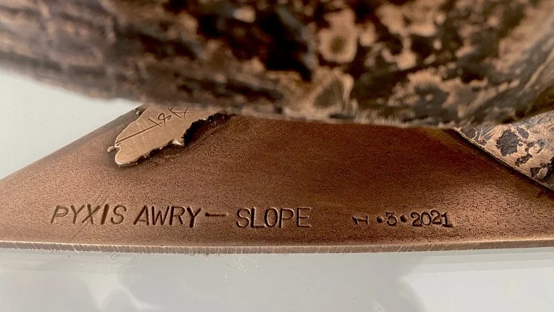 800PyxisAwry_slope_title.jpg