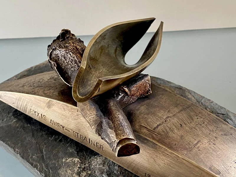 800PyxisAwry_strainer_DETVes-bkstone.jpg