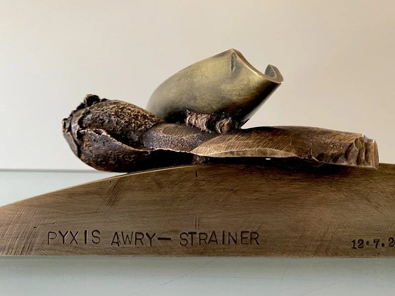 800PyxisAwry_strainer_title_bk.jpg