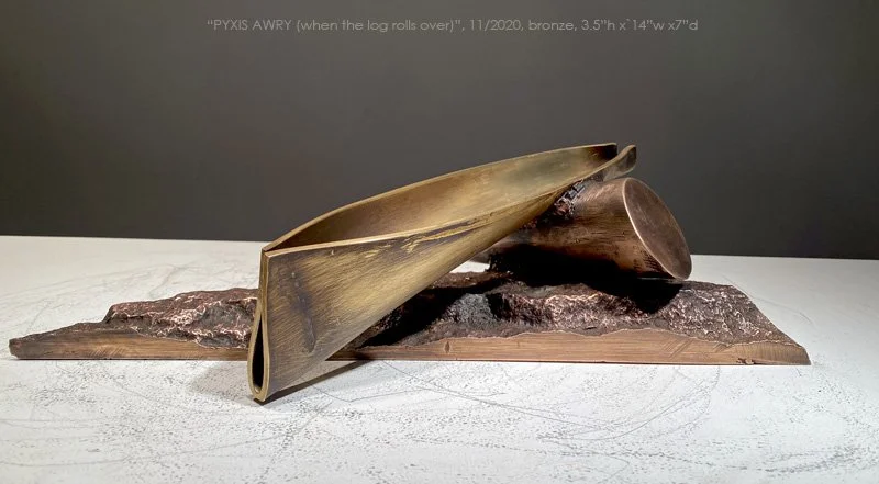 800PyxisAwry_when the log.jpg