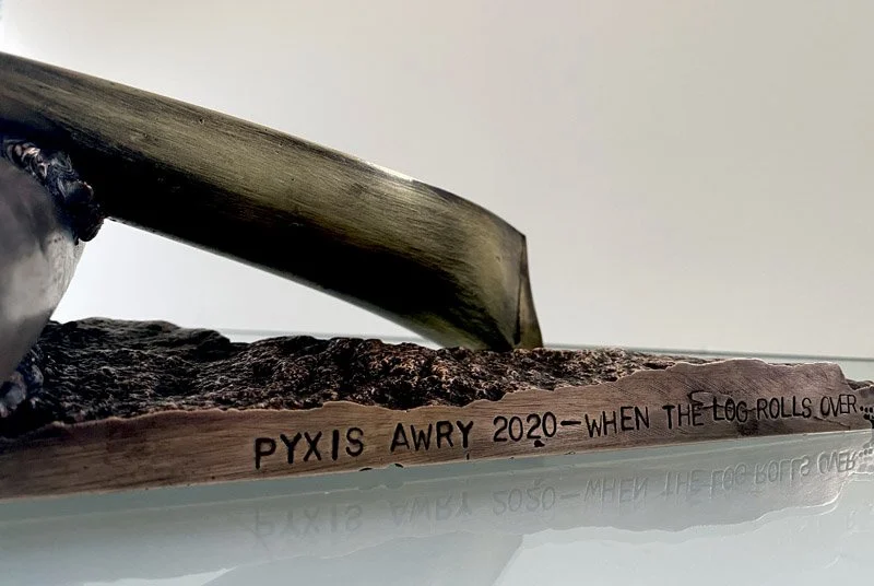 800PyxisAwry_when the log_glass_TITLE.jpg