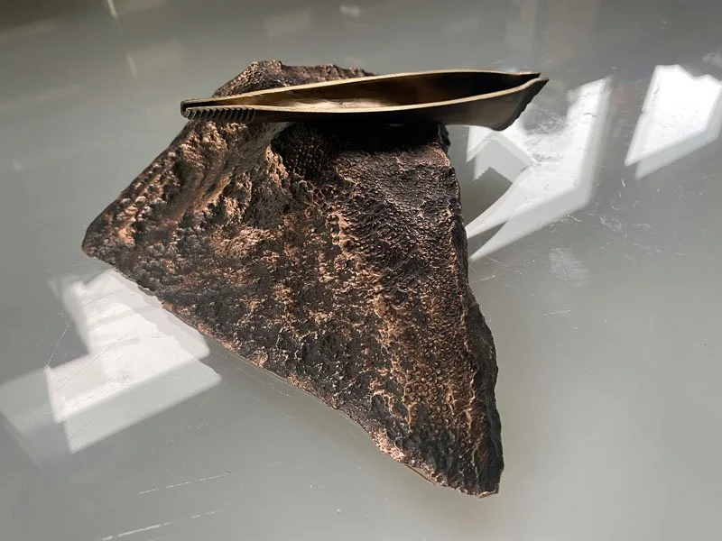 800PyxisAwry_XIXglass 1.jpg