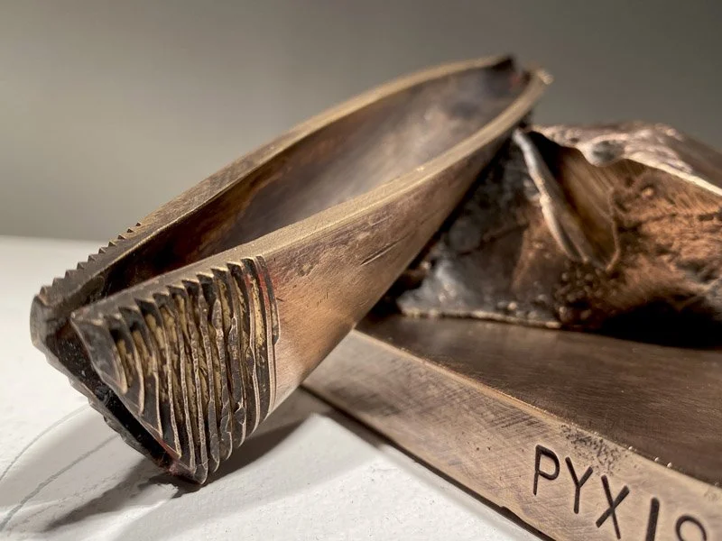 800PyxisAwry10-20_closeDET.jpg