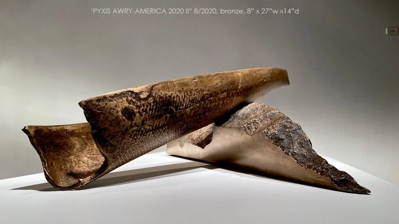800 T-20-44 PyxisAwry_America2020_II_700.jpg