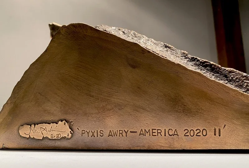 800PyxisAwry_America2020_II_DETsig-title.jpg