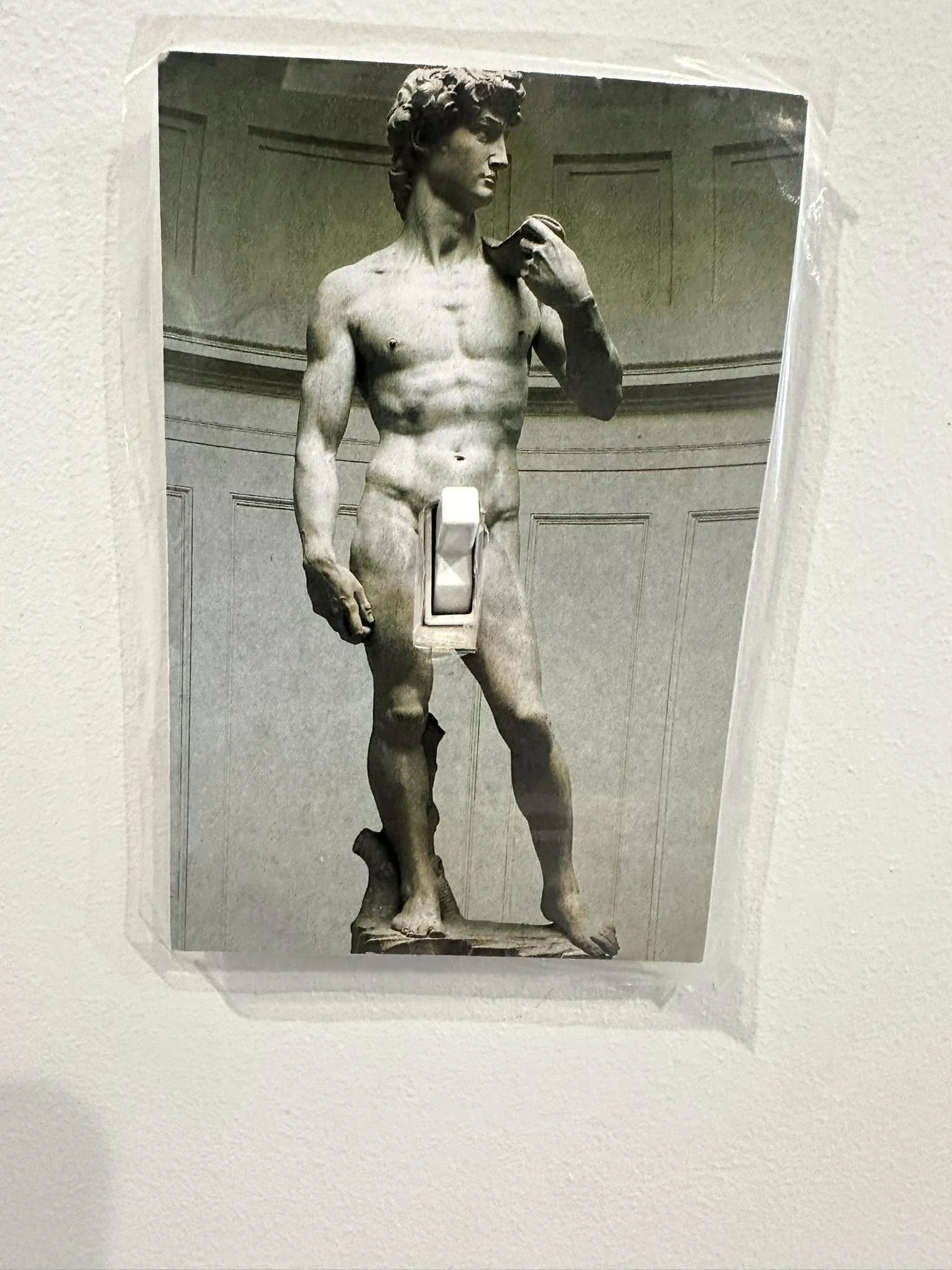 Our friends light switch cover&hellip; they call it Tricky Dickie