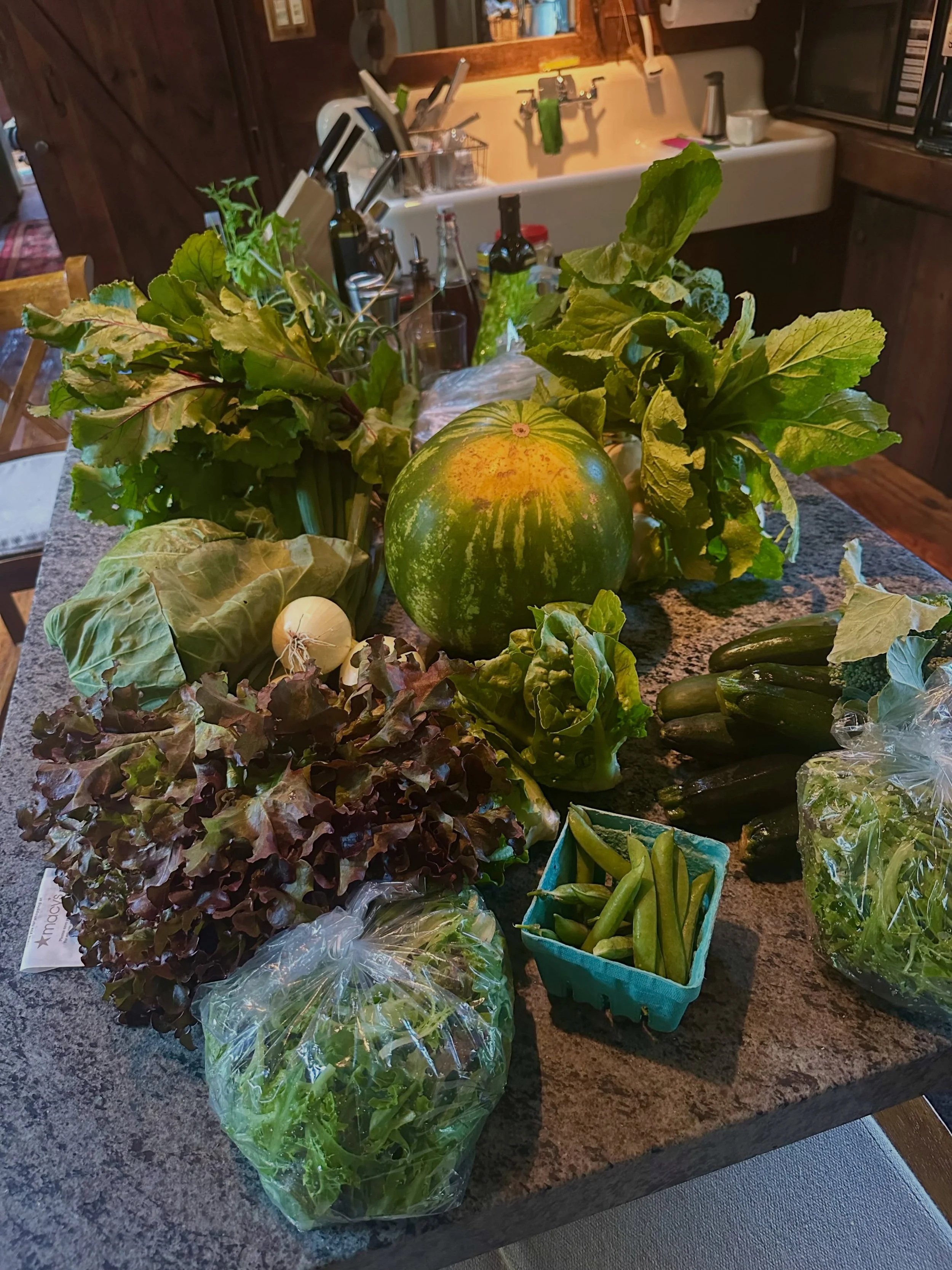 This week&rsquo;s load from our farm share.