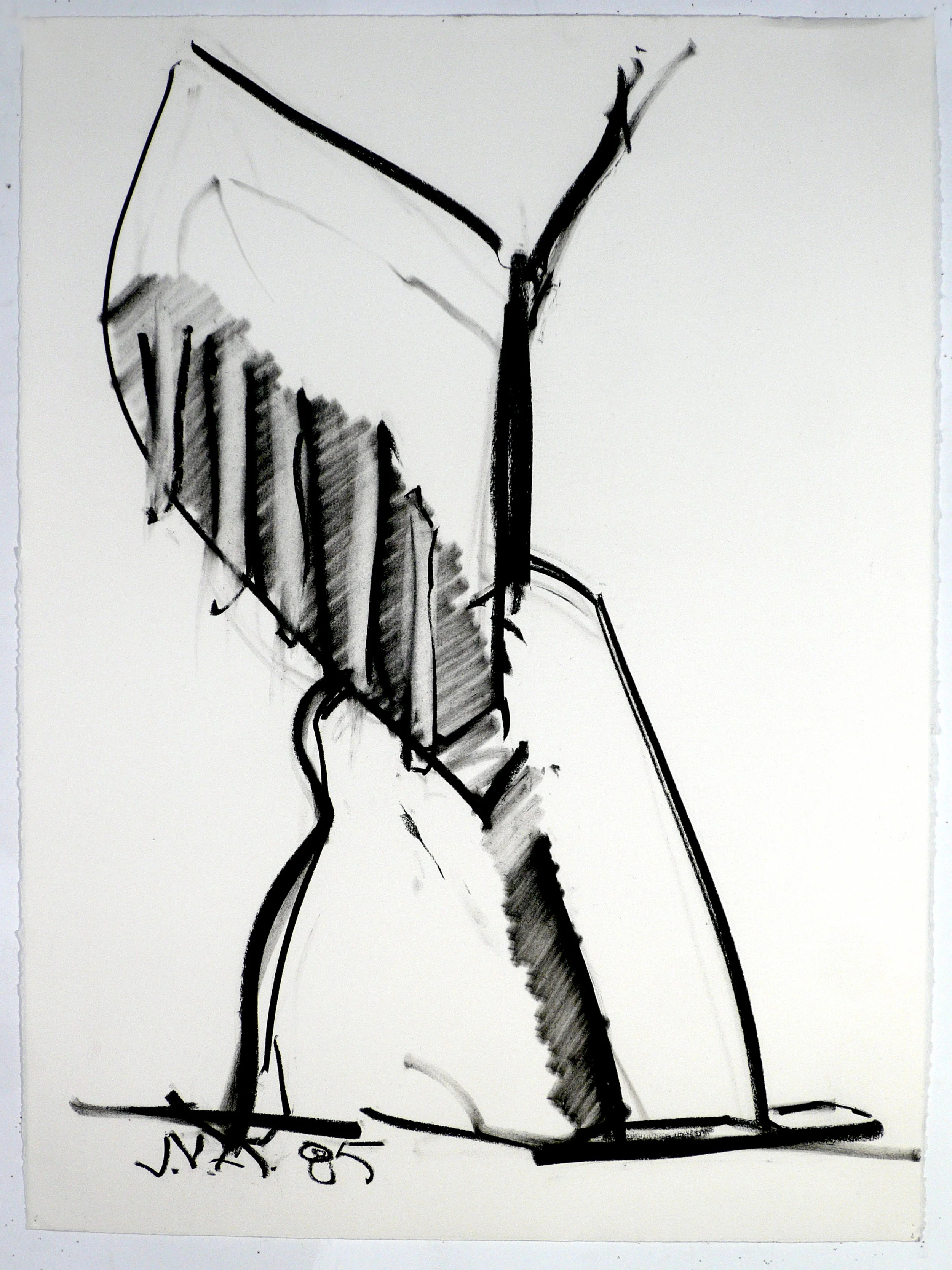 85_Gimp_a_bw_30x20.jpg