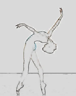 800cambre_drawing+1.png