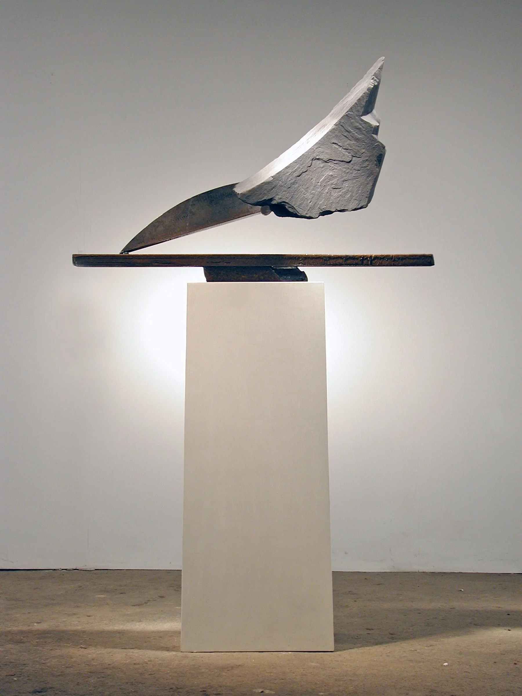 T-04-15_Pointe_ped.jpg